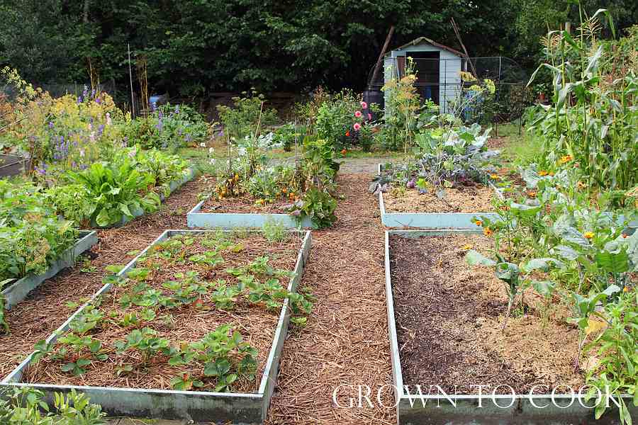 allotment august