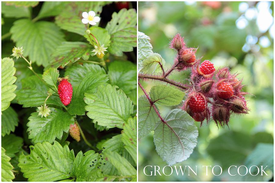 Alpine strawberries and Japanese wineberry