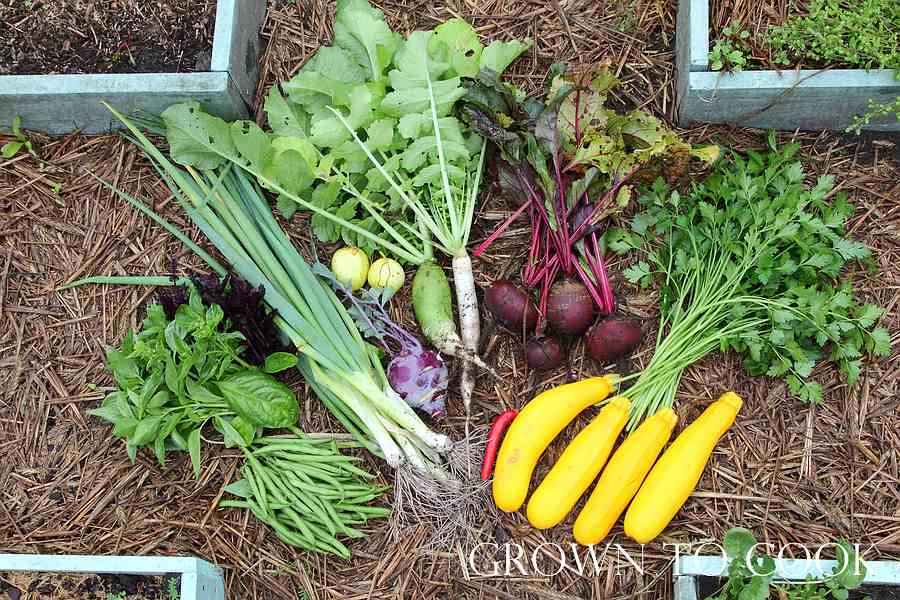 September harvest