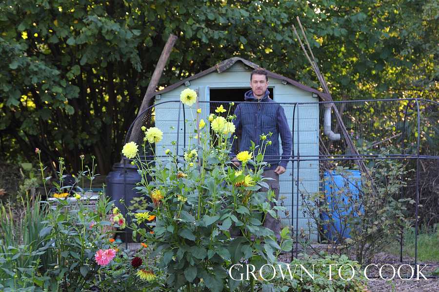 allotment september