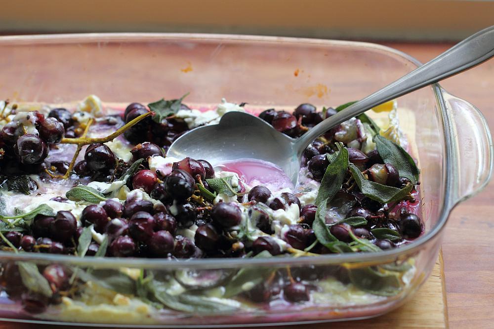 roasted grapes with cheese and herbs