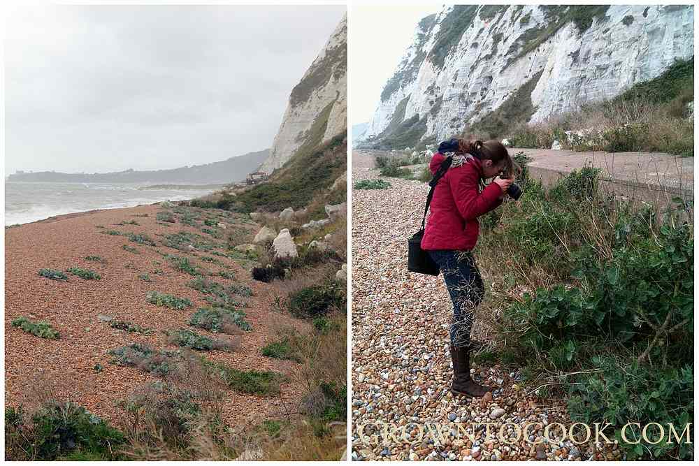 photographing at Samphire Hoe