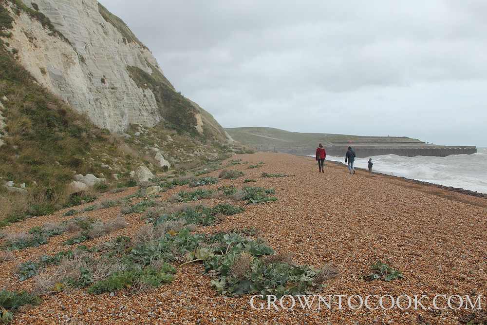 Samphire Hoe