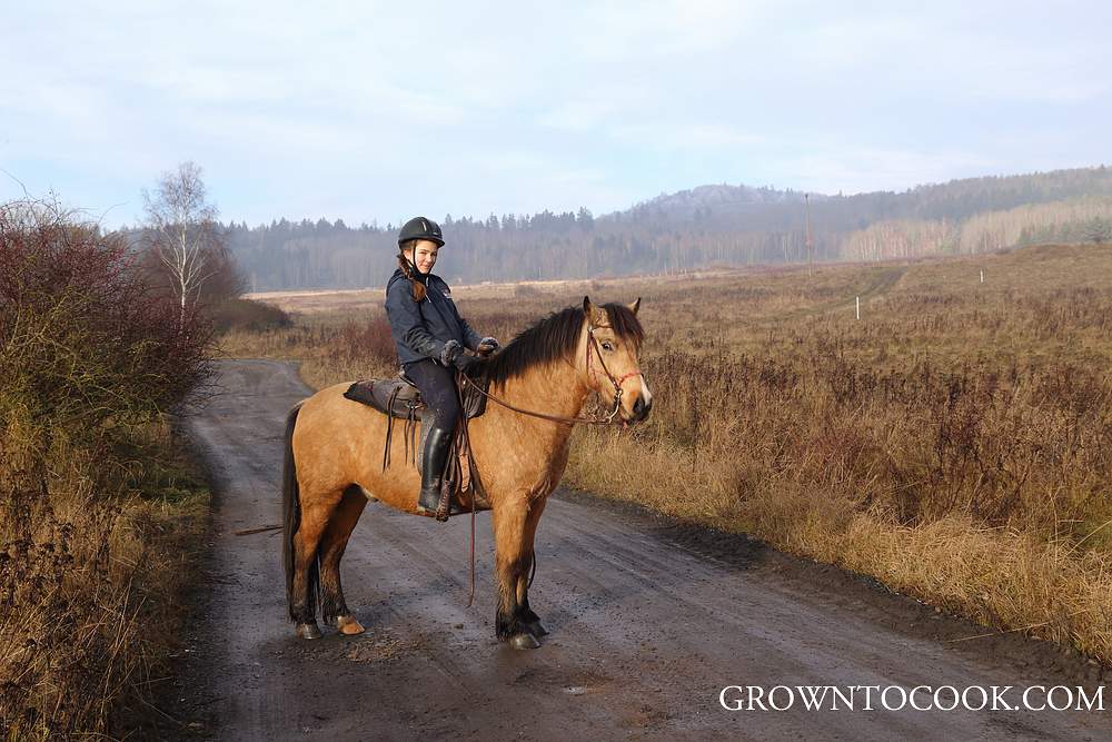 pony riding