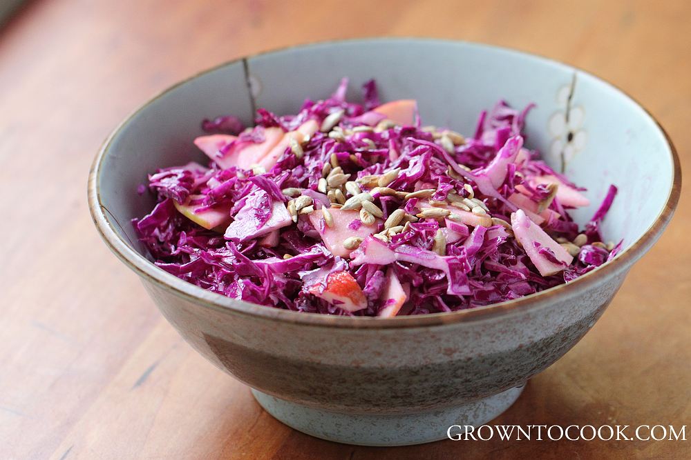 sized__MG_9red cabbage slaw with ginger yogurt dressing