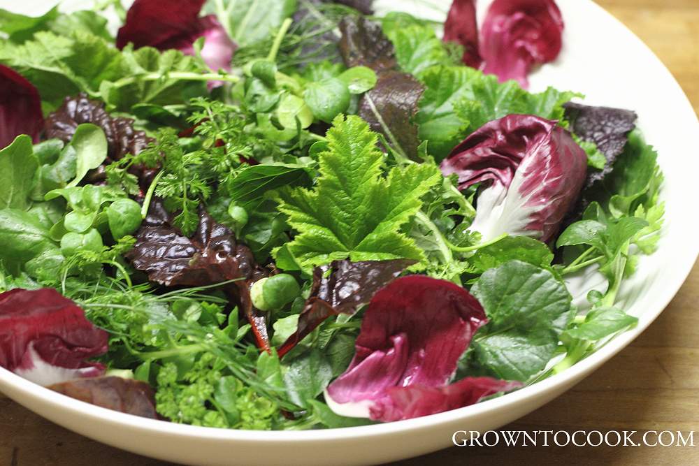 Winter salads from the garden