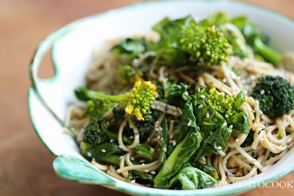 noodle bowl with cabbage shoots and broccoli florets