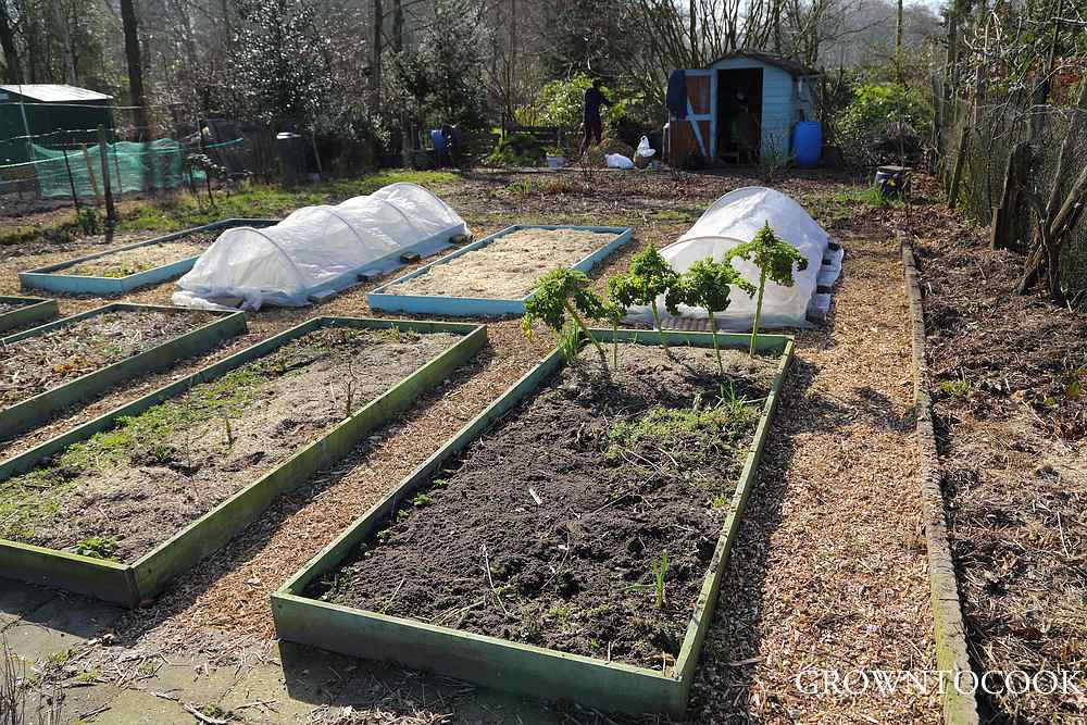 allotment in March