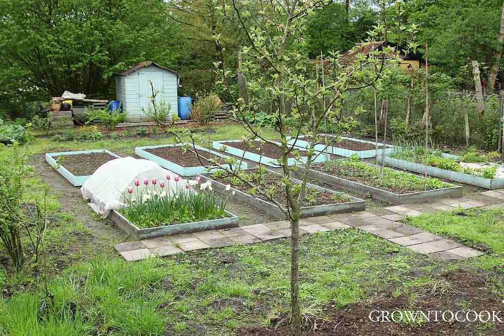 Garden jobs in April