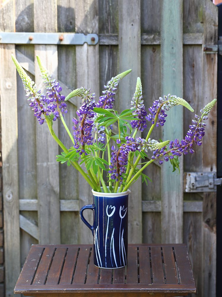 seasonal bouquets - lupines