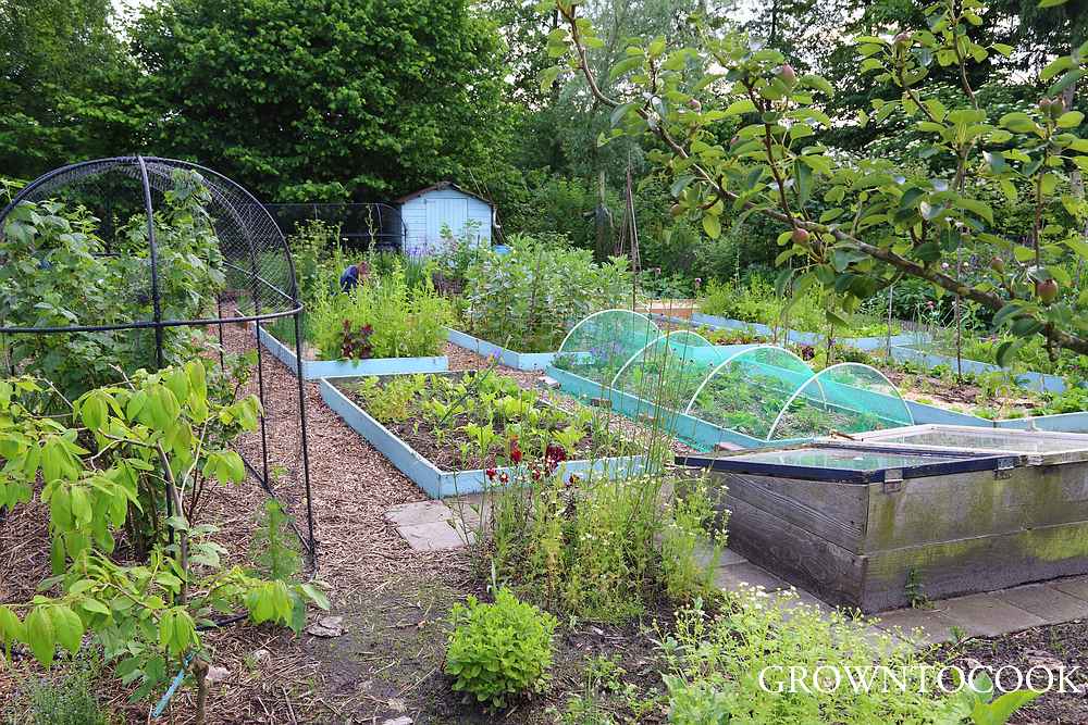 Allotment in May