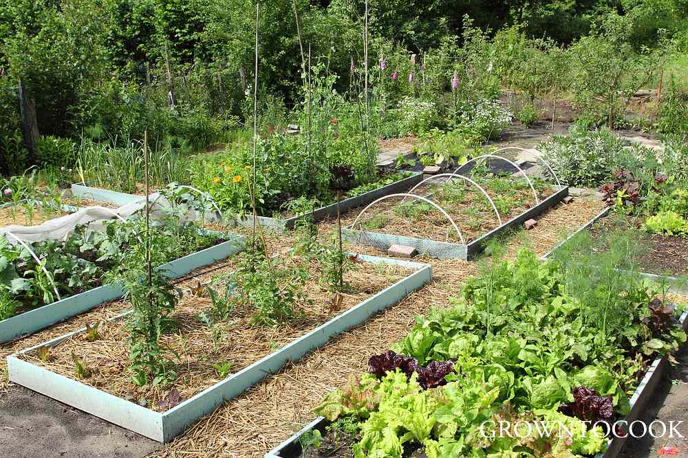 allotment in june