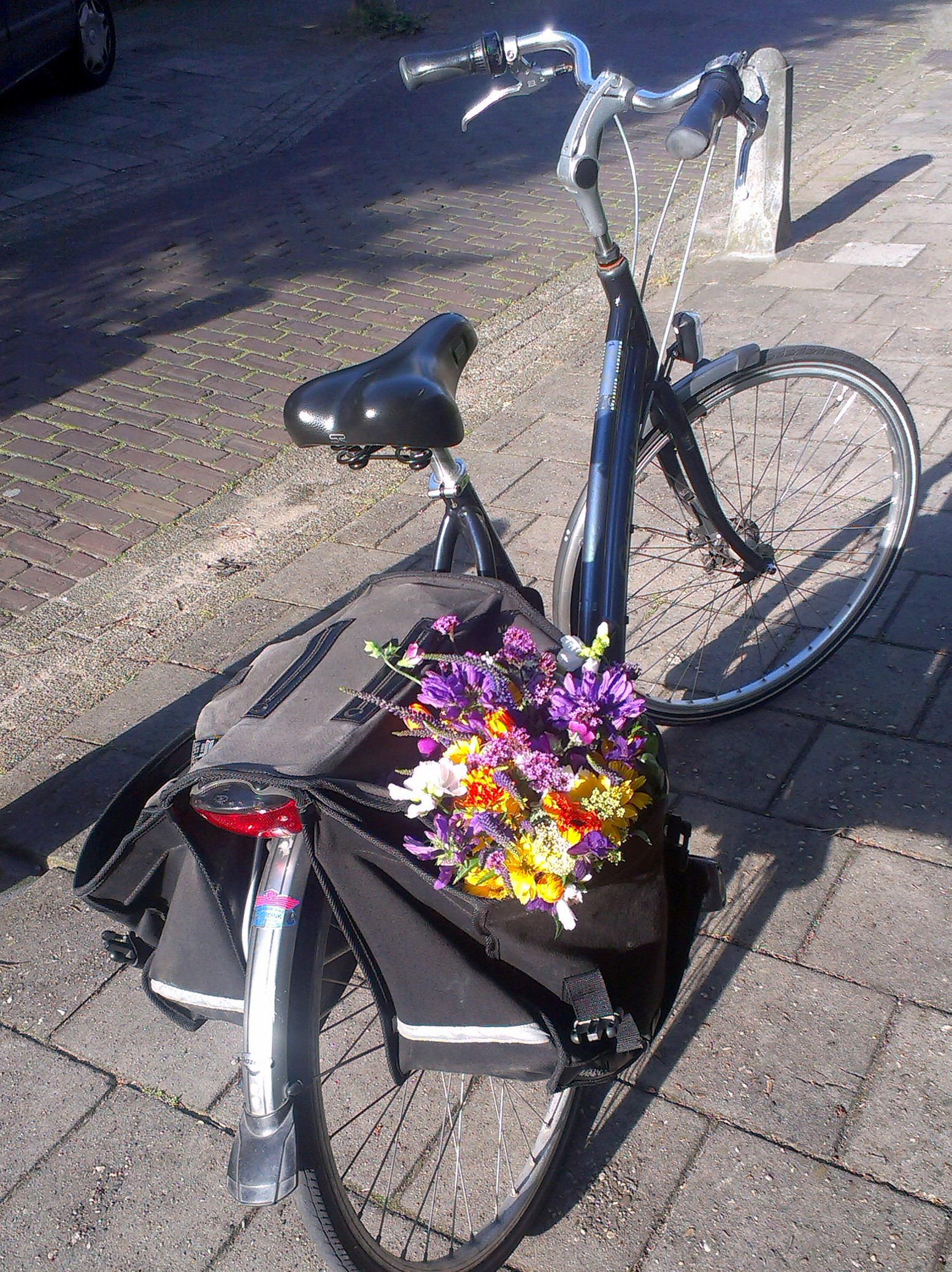 flower transport the Dutch way