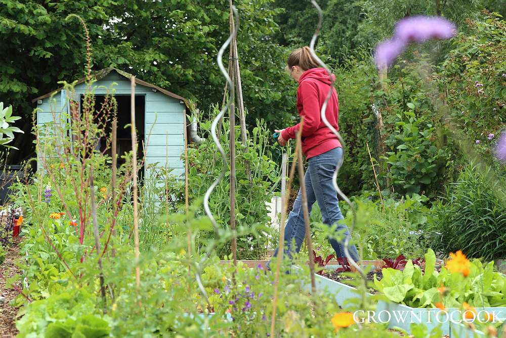 allotment in june