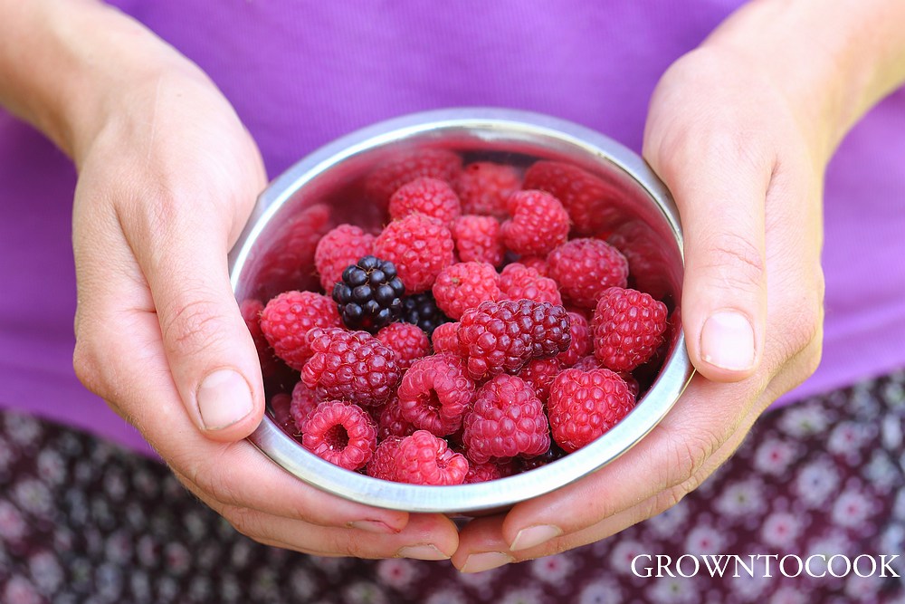 raspberries, loganberries, tayberries