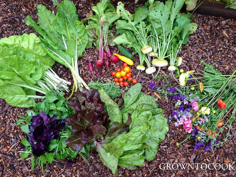 Harvest in july