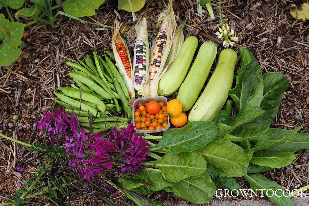 harvest from polyculture