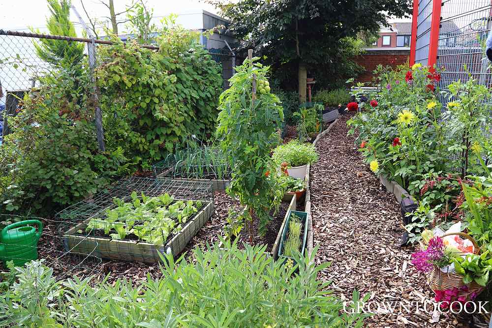 community garden hengelo netherlands