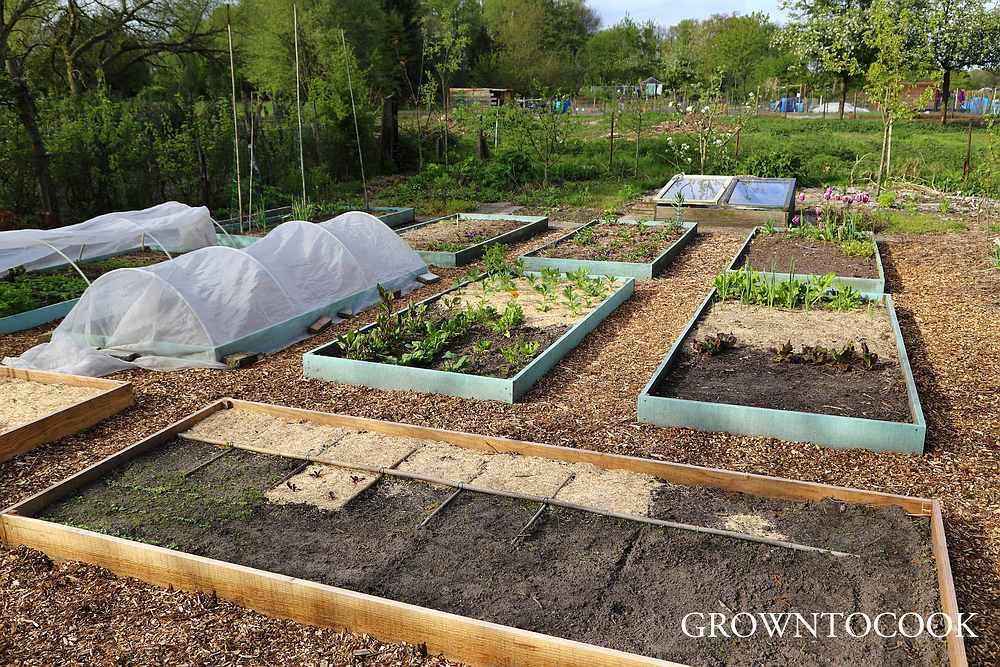 allotment 18th April