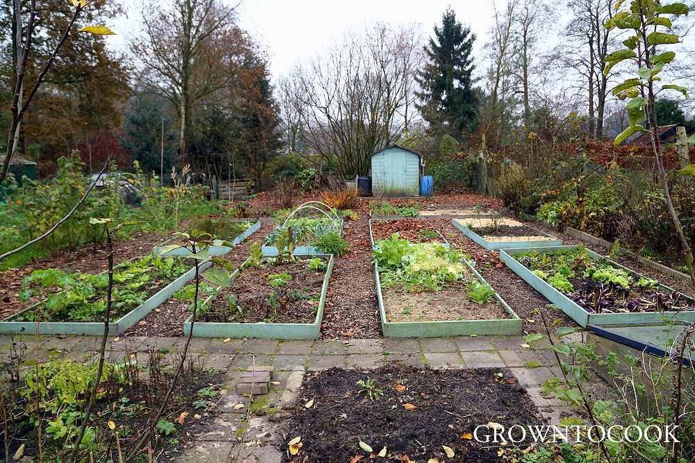 allotment 30th November