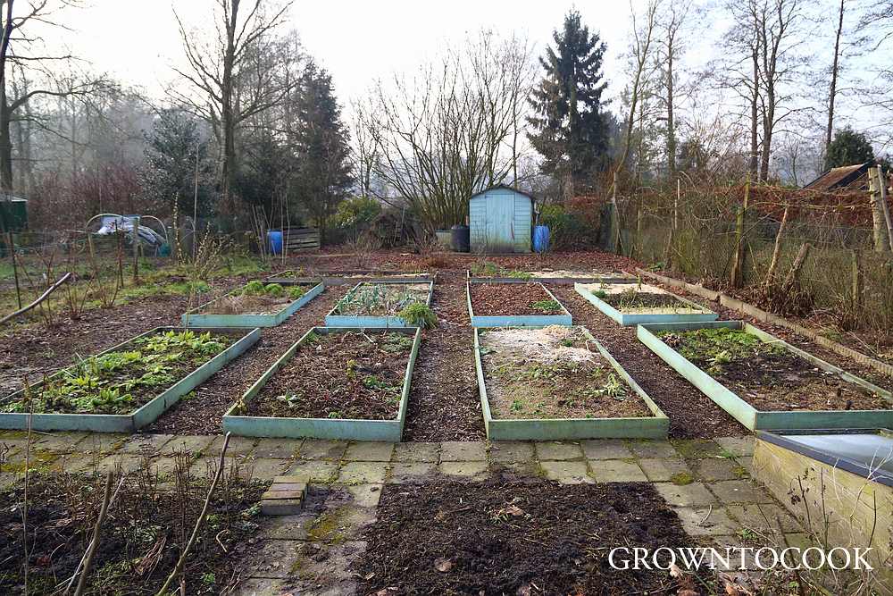 allotment in february