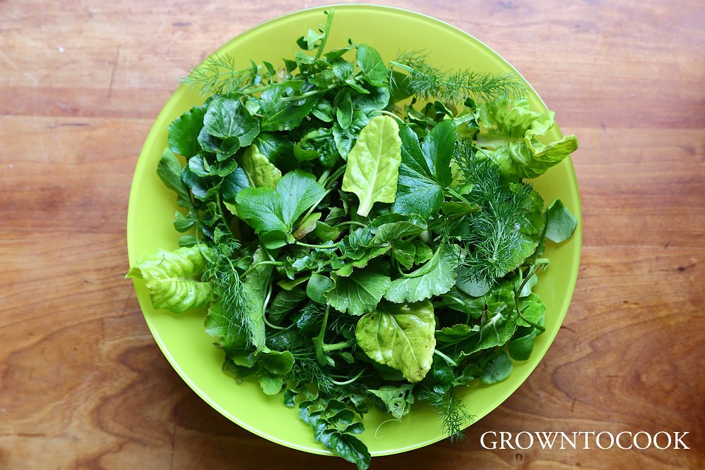 garden salad in March