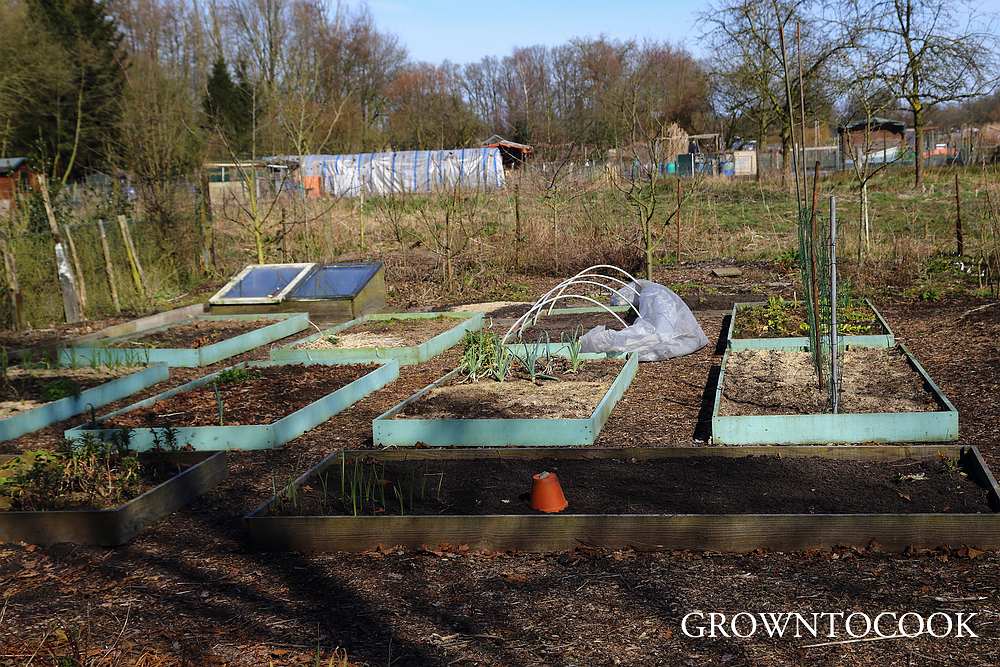 Allotment in march