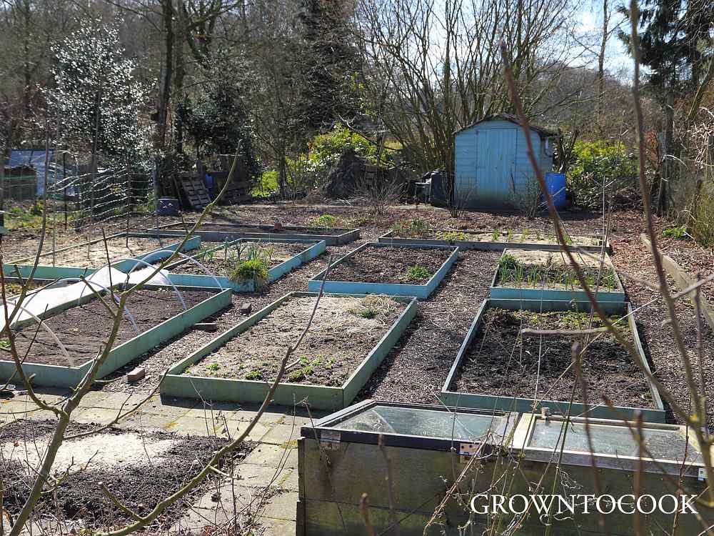 allotment in march
