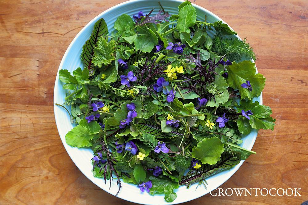 early april salad from the edible forest