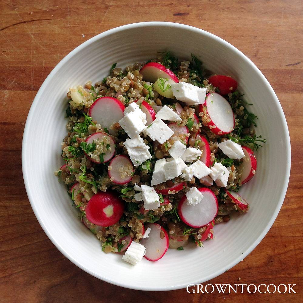 quinoa and lentils salad with radishes and herbs