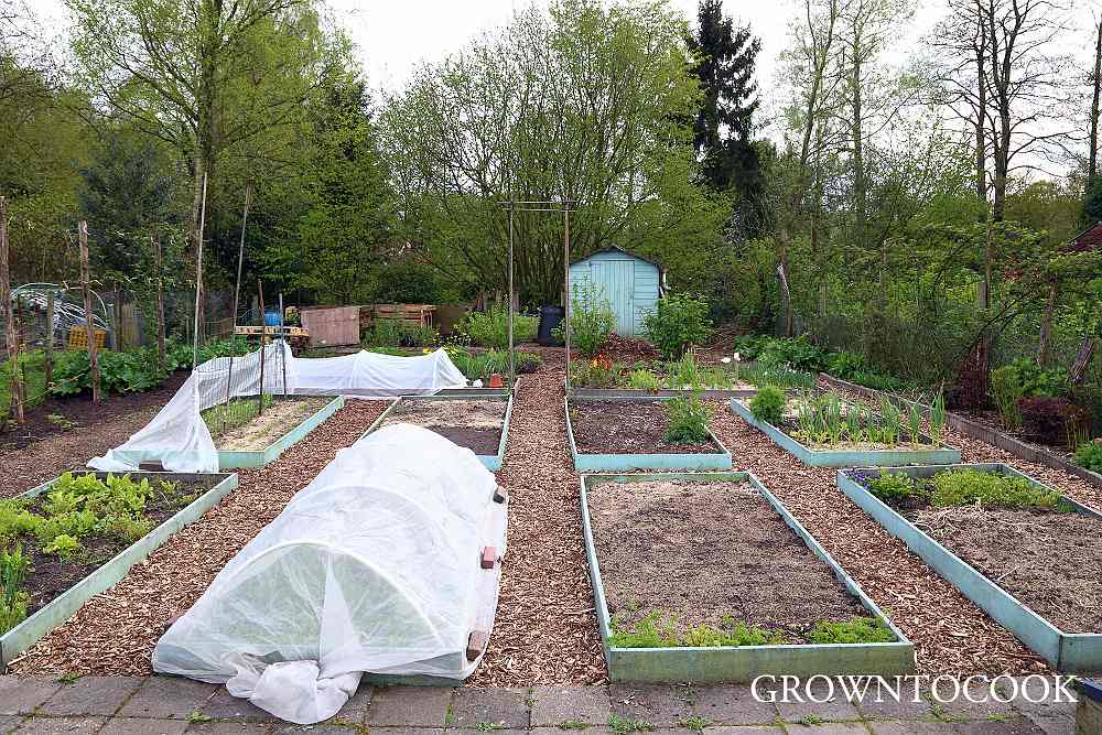 kitchen garden in april