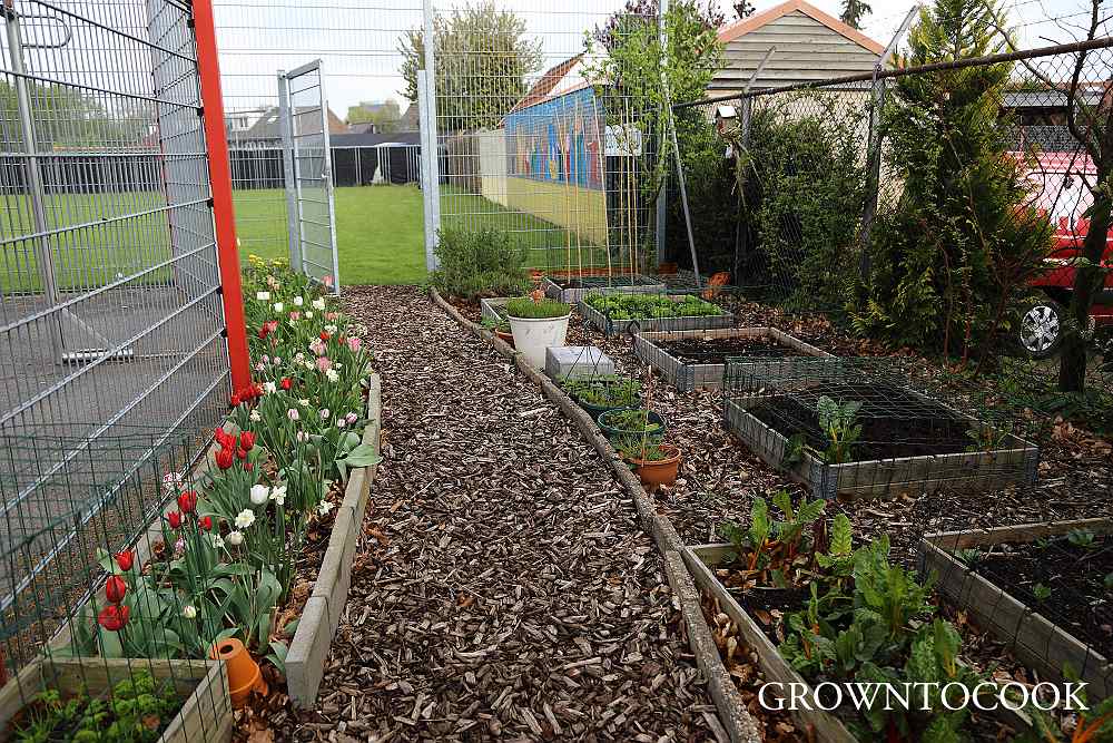 community garden april
