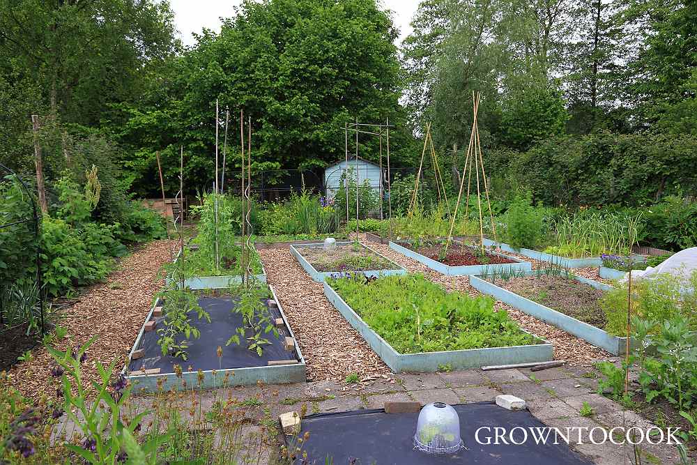 allotment in may