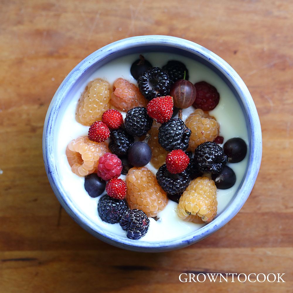 berries with yogurt