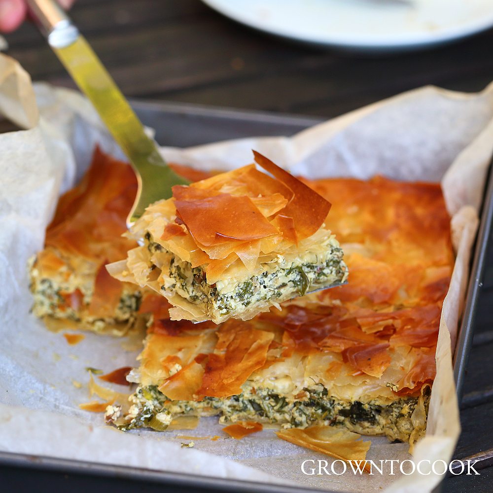 chard and herb pie