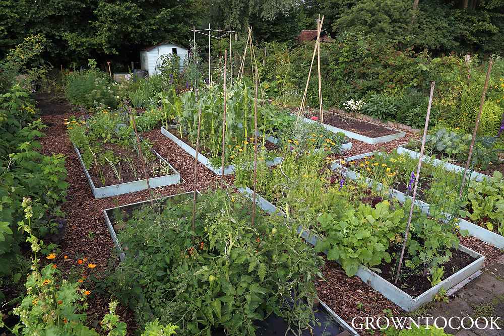allotment in july