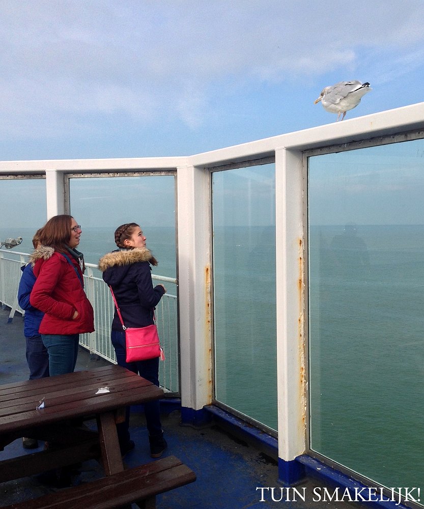 on the ferry to dover