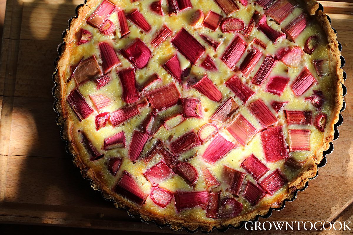 rhubarb vanilla custard tart