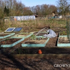 Edible garden in March 2015