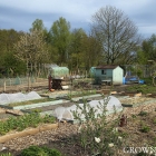 Edible garden in April 2016