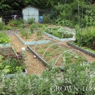 Edible garden in June