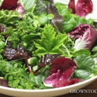 Winter salads from the garden
