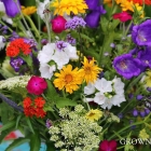 Seasonal bouquet - midsummer abundance 