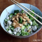Soba noodles with peanut dressing