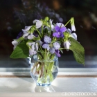 Seasonal bouquet - tiny delights
